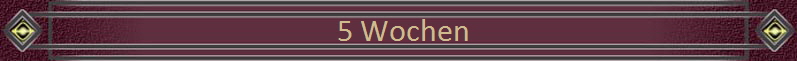 5 Wochen