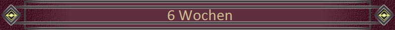 6 Wochen