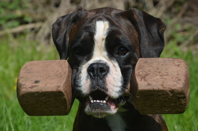 DSC_0257 (2)_Bildgre ndern1