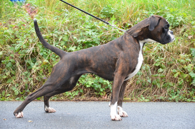 DSC_3143--2-_Bildgrosse-andern