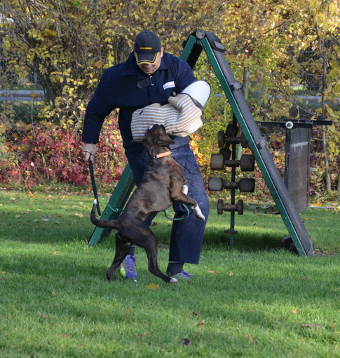 DSC_5045 (3)_Bildgre ndern1