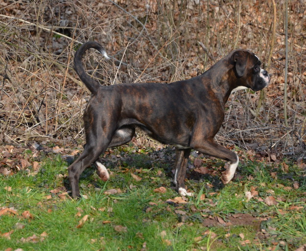 DSC_7584 (2)_Bildgre ndern1